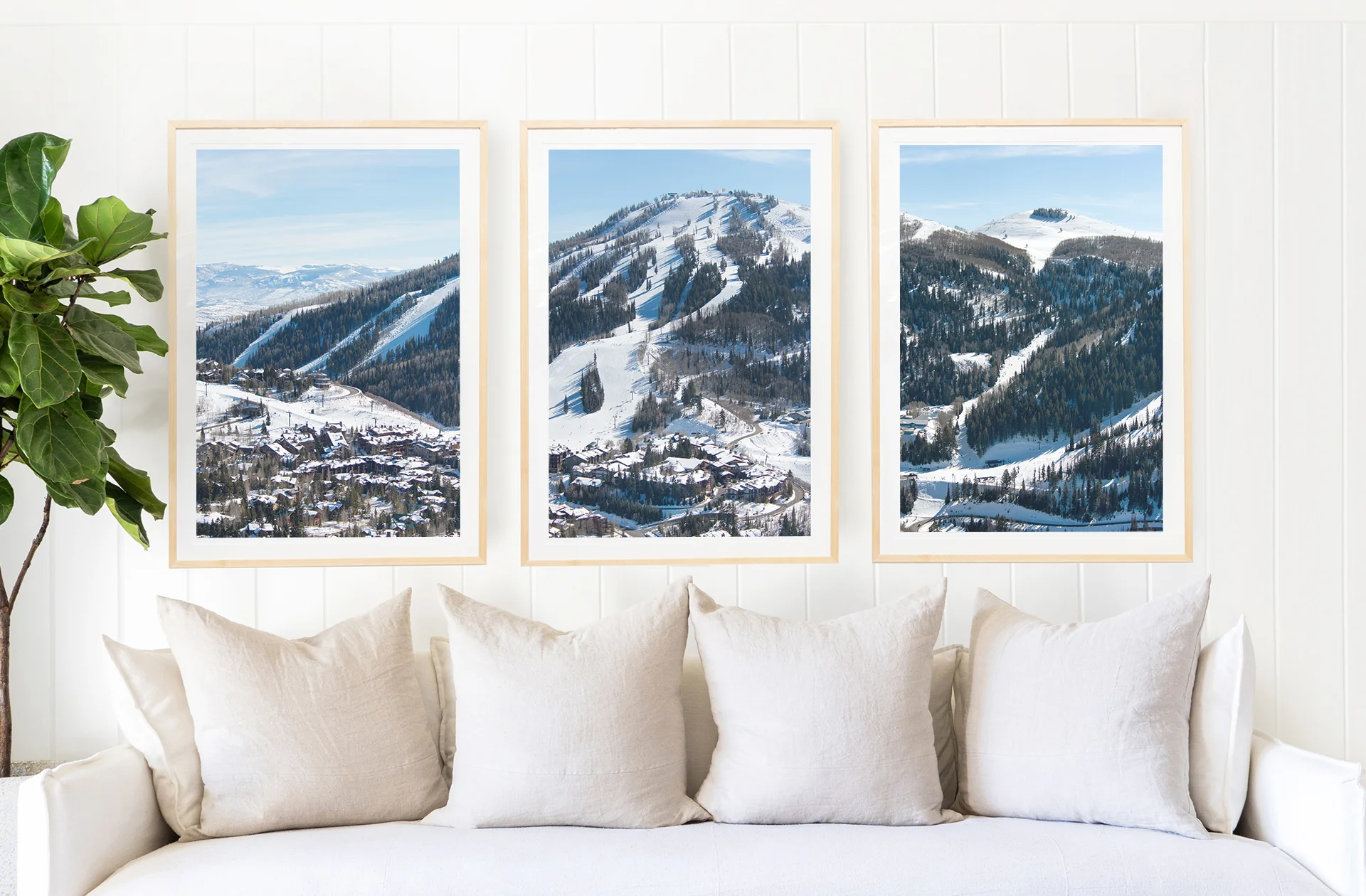Deer Valley Triptych - Image 4