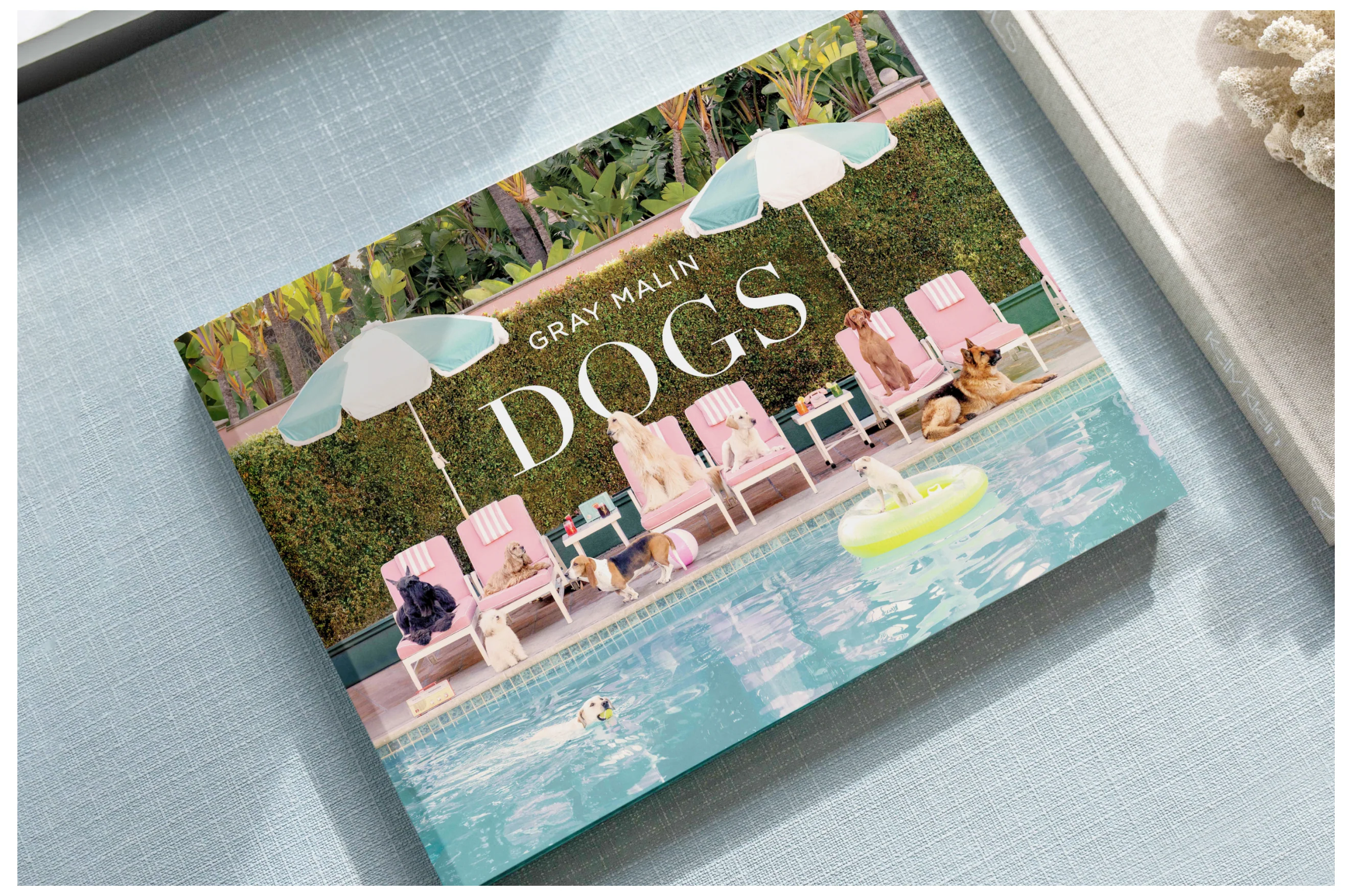 DOGS Book - Image 4