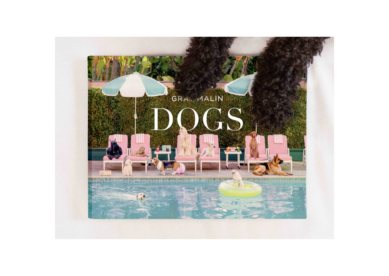 DOGS Book - Image 6