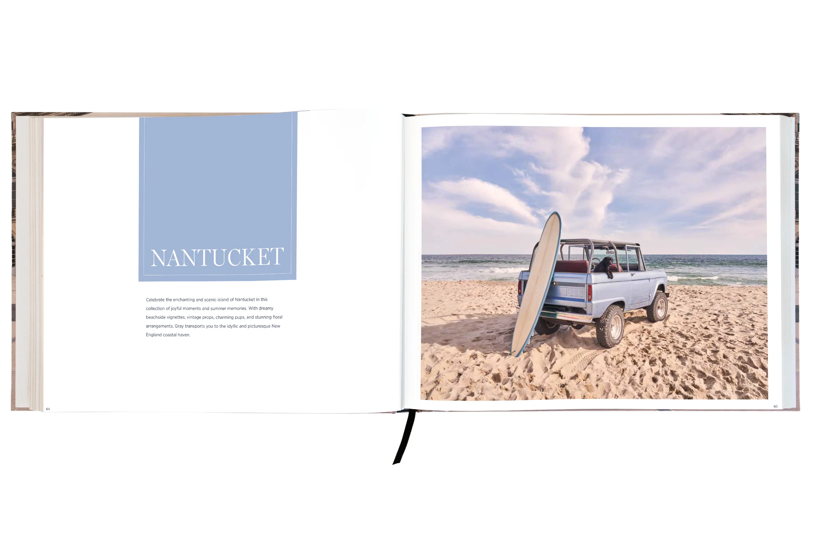 DOGS Signed Collector's Edition - Image 10