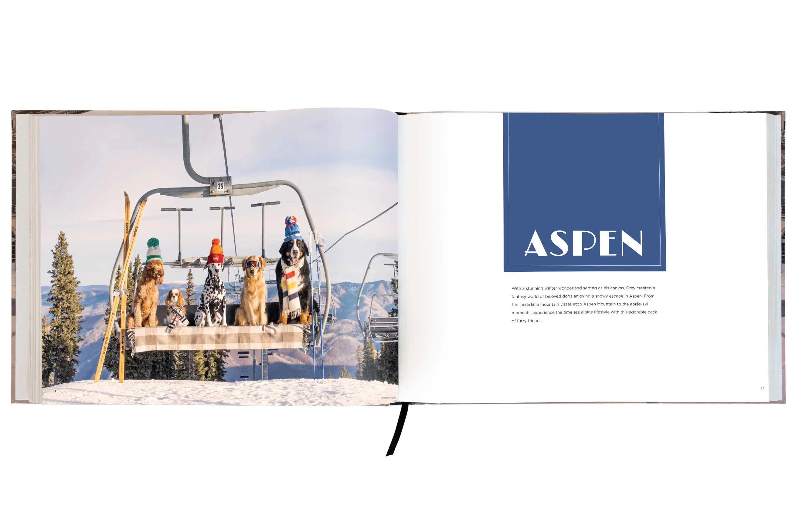 DOGS Signed Collector's Edition - Image 9