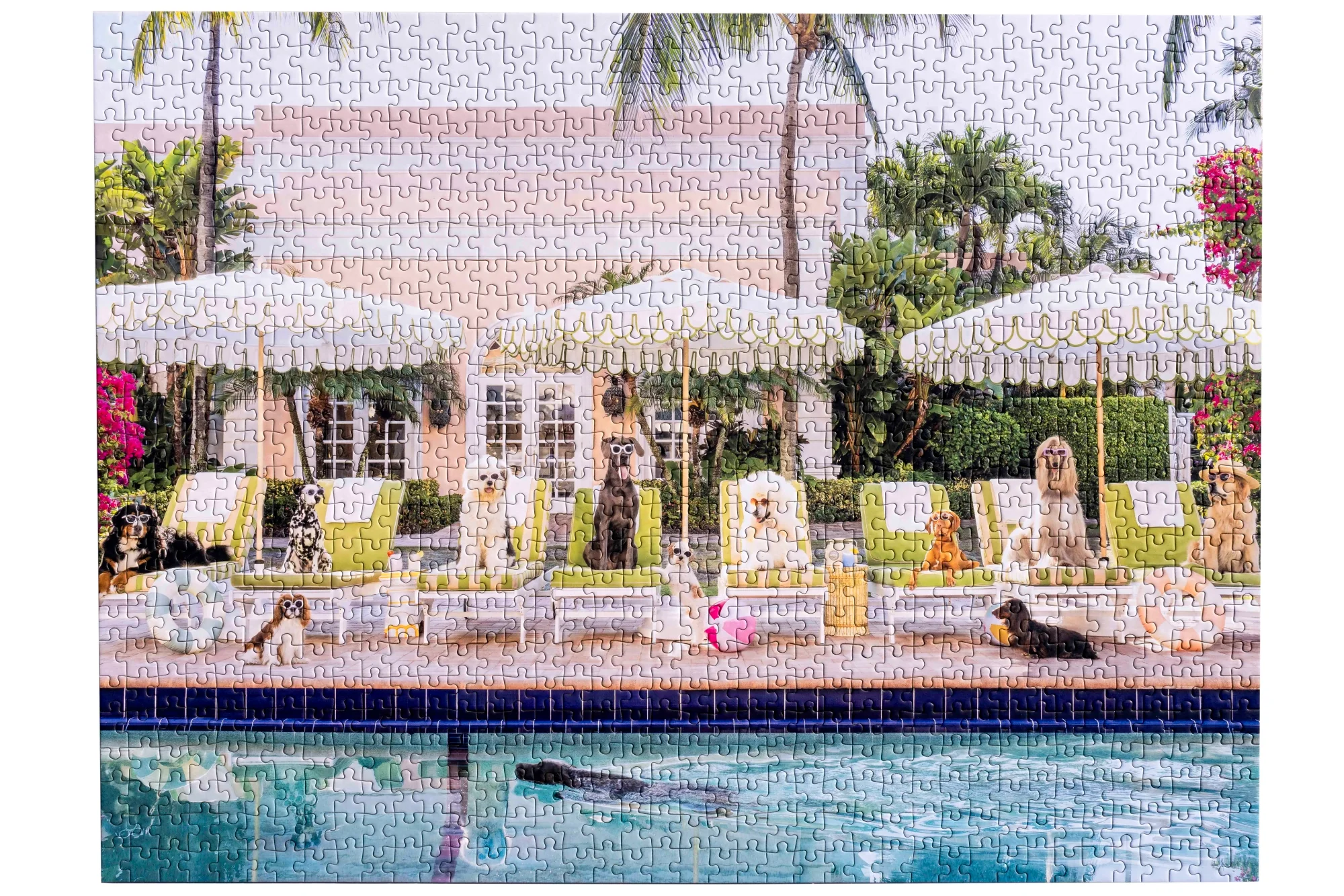 Gray Malin Palm Beach 1000 Piece Book Box Puzzle - Image 6