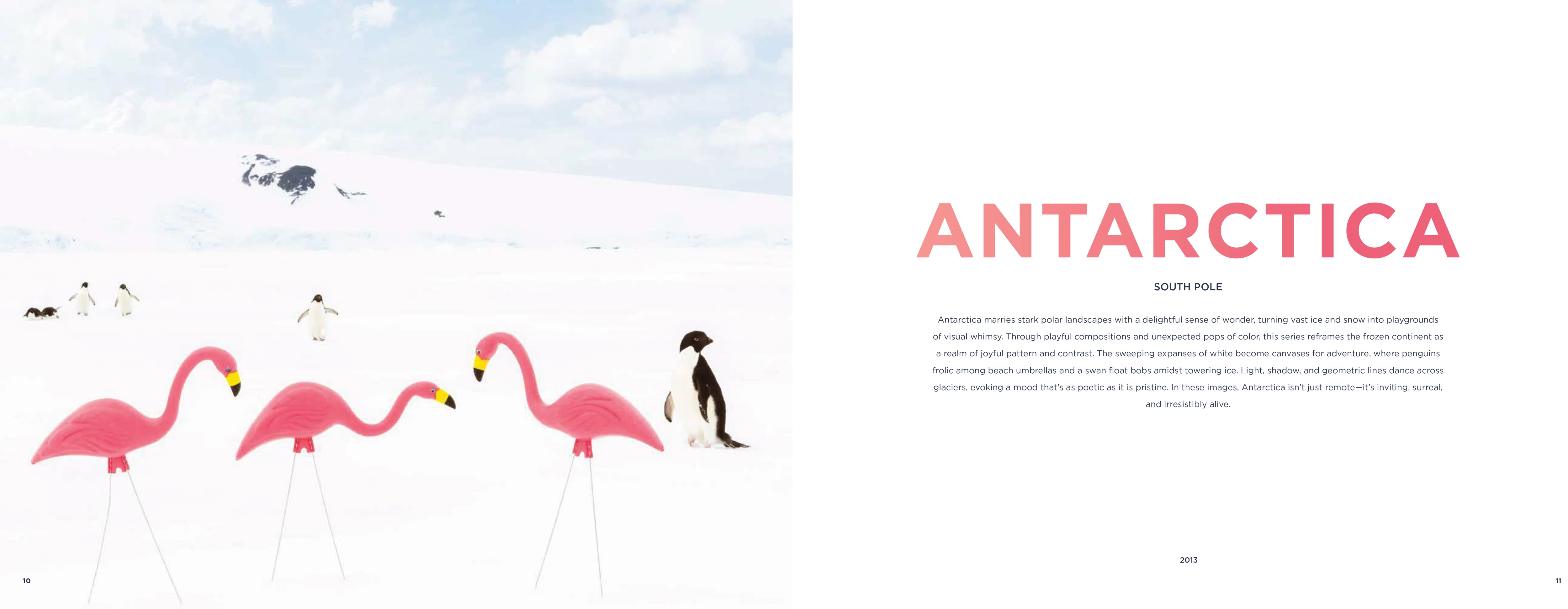 SNOW Book Pre-Order - Image 6