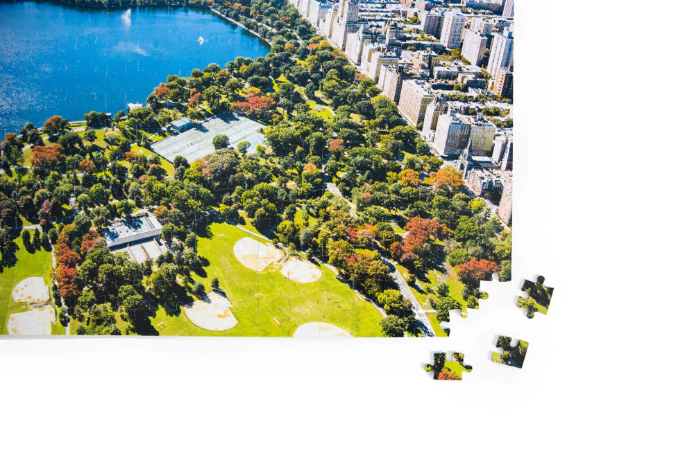 The New York City Two-Sided Puzzle - Image 5